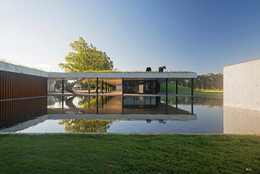 EatUp_ag's tweet photo. Check out this amazing #rooftop pastureland, by @EstudioRamos, at Figueras Polo Club in Argentina! https://t.co/hpGO0FAlYD https://t.co/196ncsdHtP