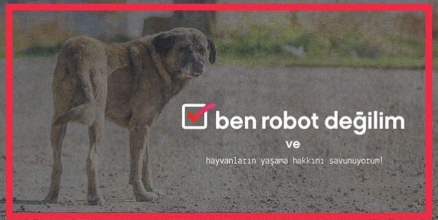 AltayAtli's tweet photo. Hayvanlara karşı şiddete, hayvanların yaşama haklarının ihlal edilmesine sessiz kalamam çünkü #BenRobotDeğilim ! https://t.co/OE55RfDV5T