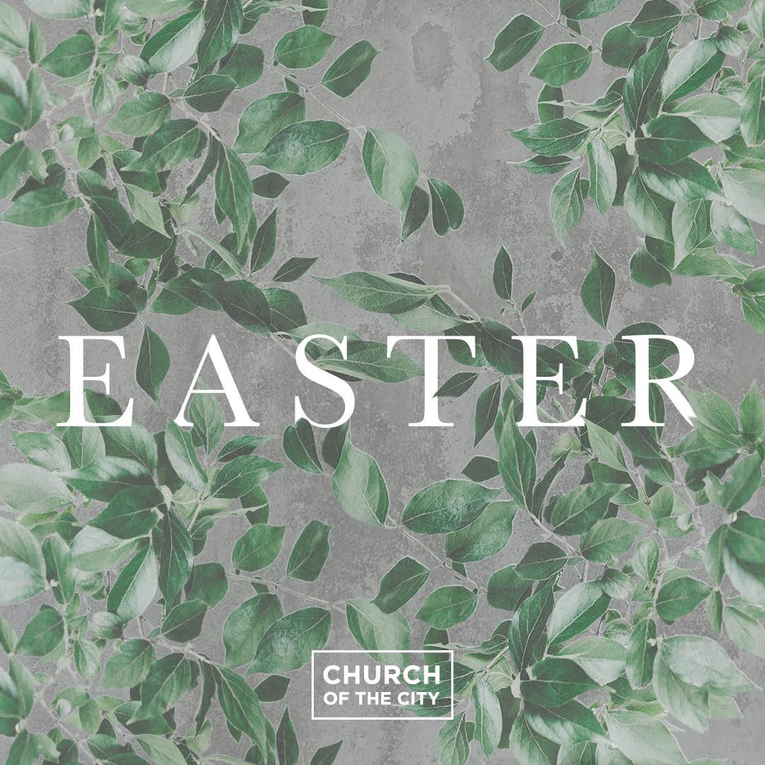 Church of the City tweet media