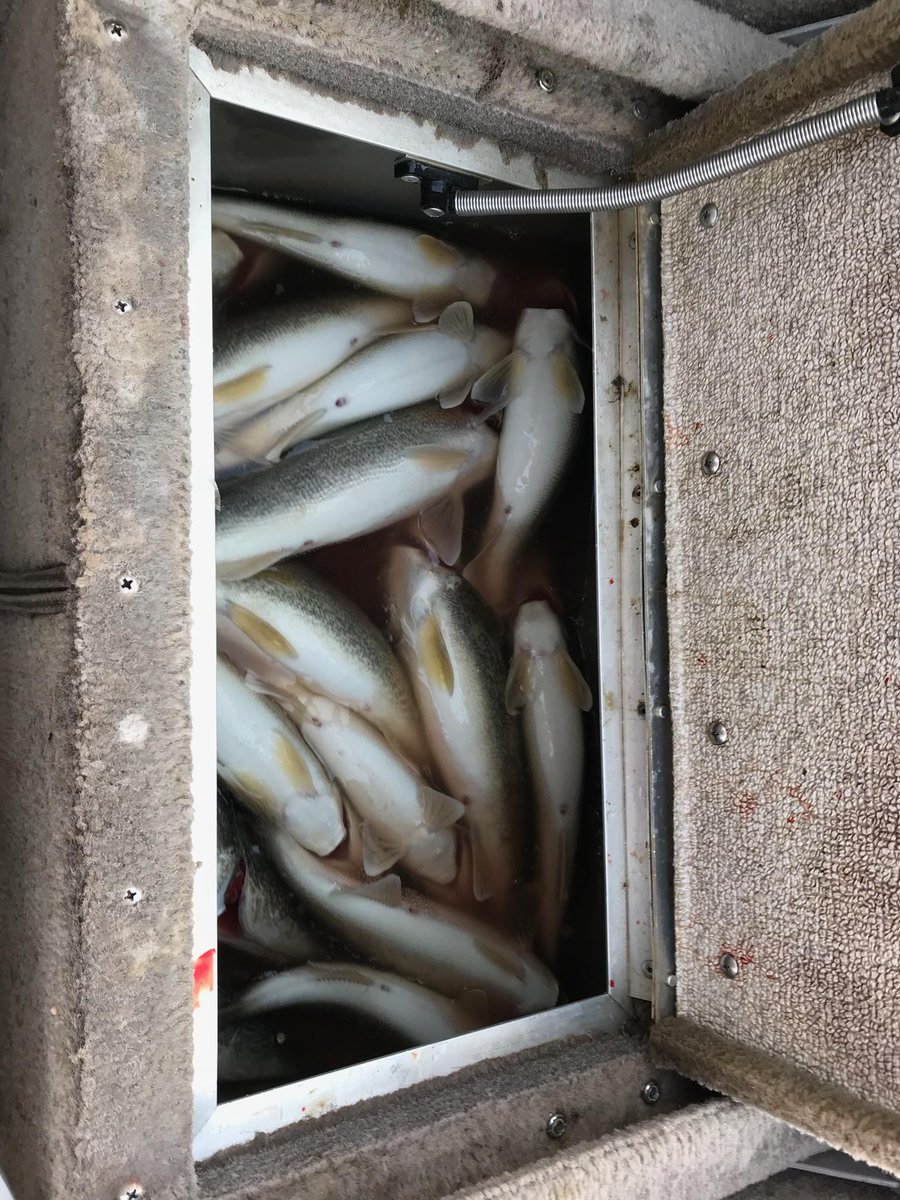 CRammel1's tweet photo. Good Start to the season,4 man limit just under 1.5 hour of fishing. #jigbite https://t.co/qb2pB2bq9a