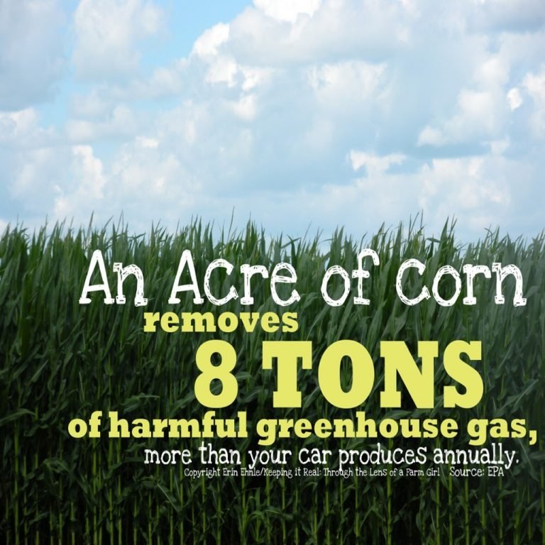 Jones Irrigation on Twitter "DYK I did not know this! WOW! 