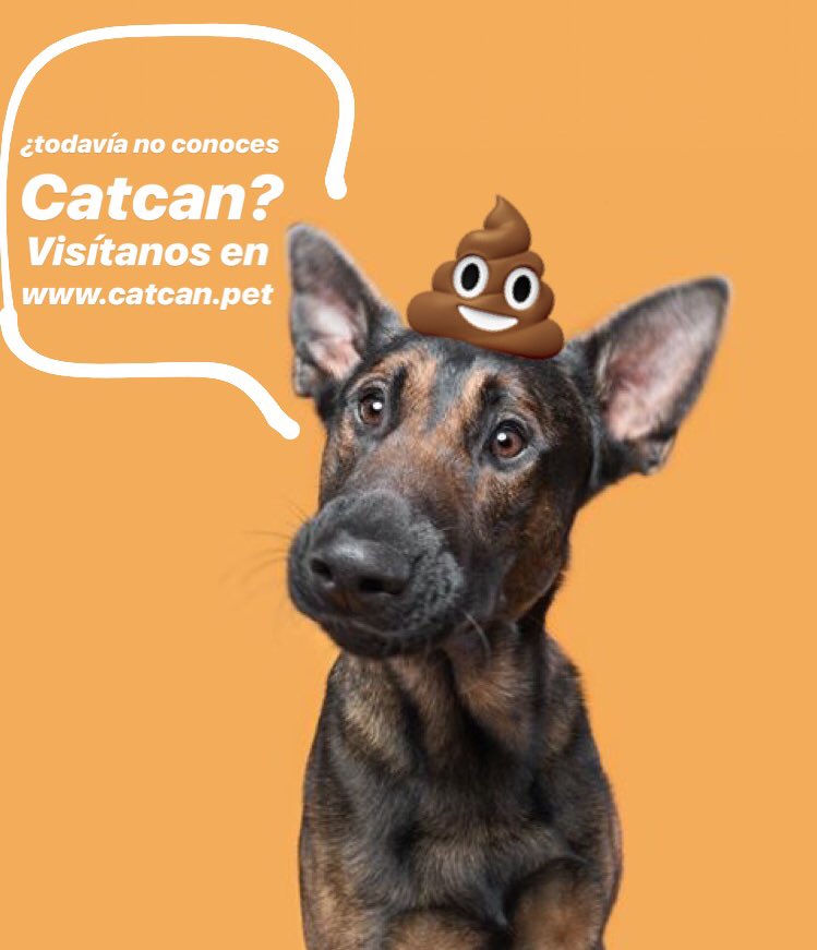 CatcanCol's tweet photo. ¡Visítanos! En https://t.co/nyLii2LfDK y conoce nuestros productos 💫 #amoamimascota 💚🐕🐈#cuidomiplaneta 💚🌎🌍🌏 https://t.co/YDvTdB2iAC