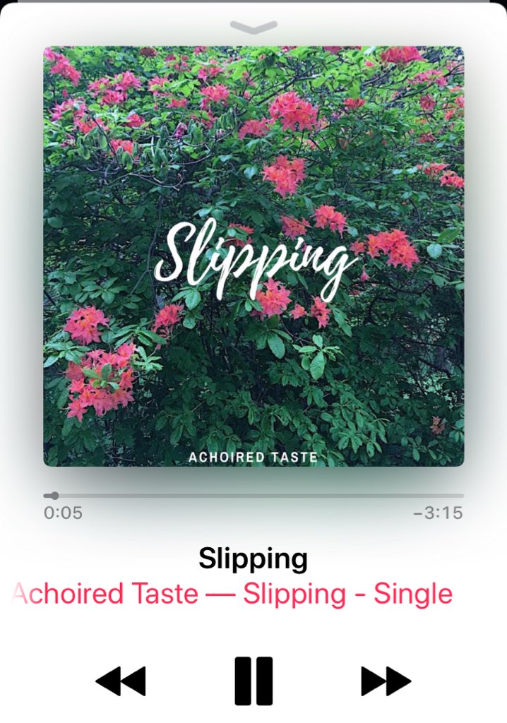 Achoired Taste just dropped its first professional single! (!!!!!!!!) give it a listen on iTunes and Spotify!