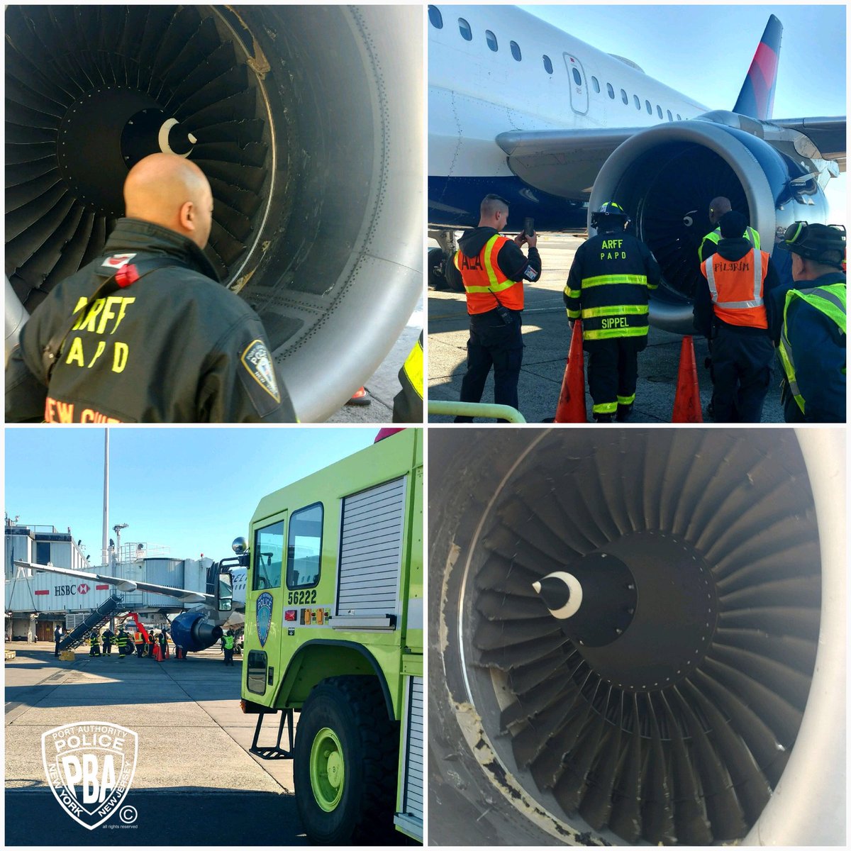 Port Authority Pba On Twitter Sat 3 31 18 Rox 8 20 A M Jfk An Airbus 319 Suffered A Bird Strike On Takeoff Aircraft Returned To Jfk Met Inspected By The Papd Rescue Fire Fighter Arff Unit