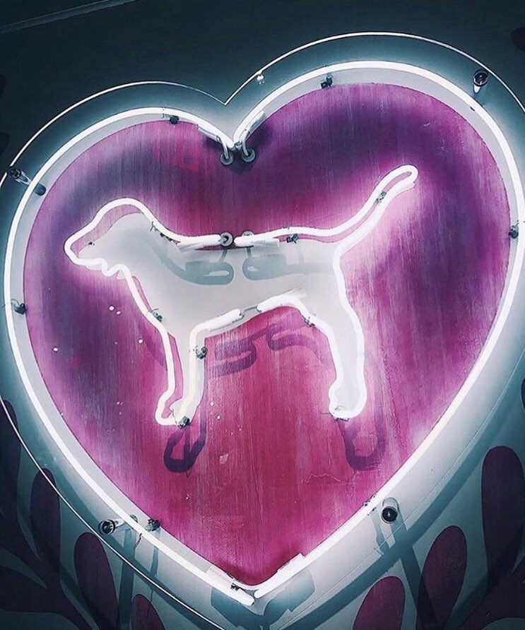 We may not have Easter bunnies🐰 but we do have PINK dogs and a TON of prizes to give away!😱head to Instagram to find out how you can enter💗