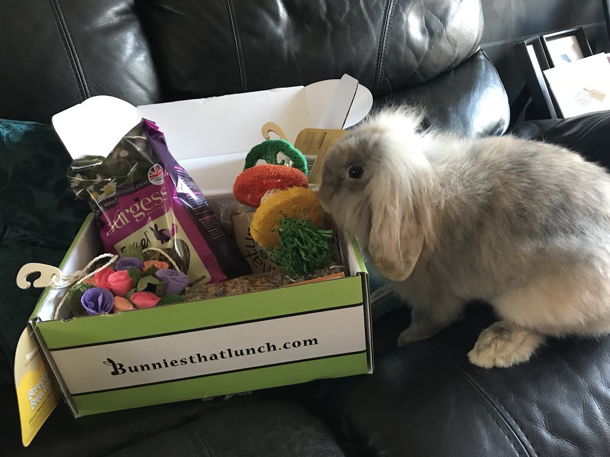 Nicola_Walker_x's tweet photo. Happy little buns after receiving their #bunniesthatlunch box 🐰🐰🐰🐰 https://t.co/MmvFhfVw4D