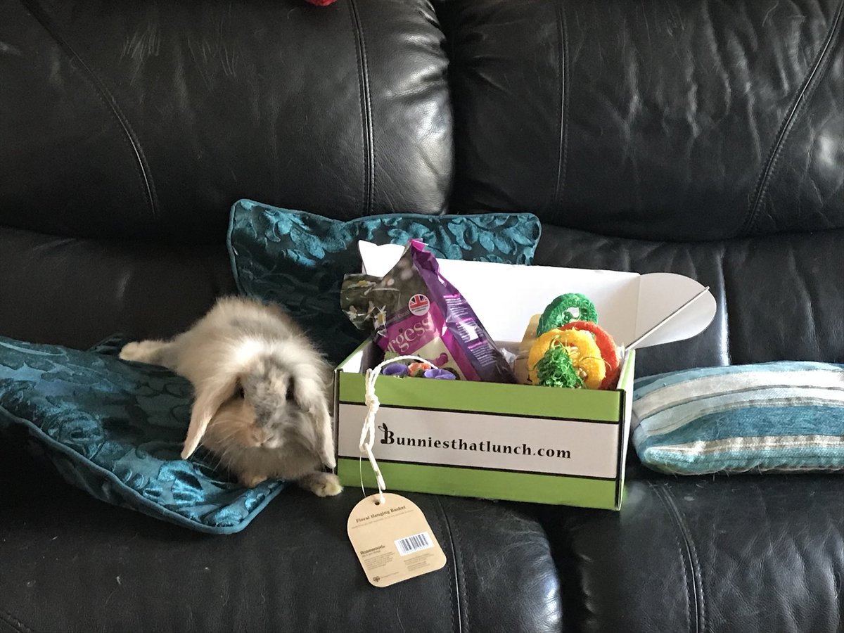 Nicola_Walker_x's tweet photo. Happy little buns after receiving their #bunniesthatlunch box 🐰🐰🐰🐰 https://t.co/MmvFhfVw4D