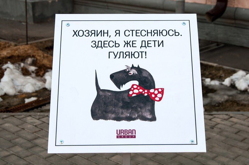 (image)