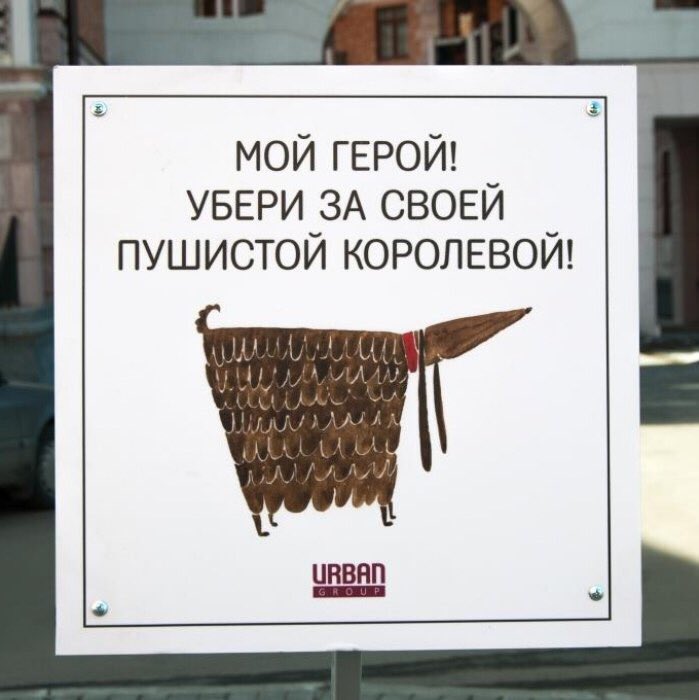 (image)