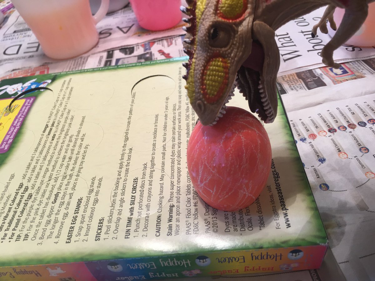 dinoadventure_s's tweet photo. I got to die some Easter eggs! #wow #muchfestive #nomnom https://t.co/B27GKWnzDX