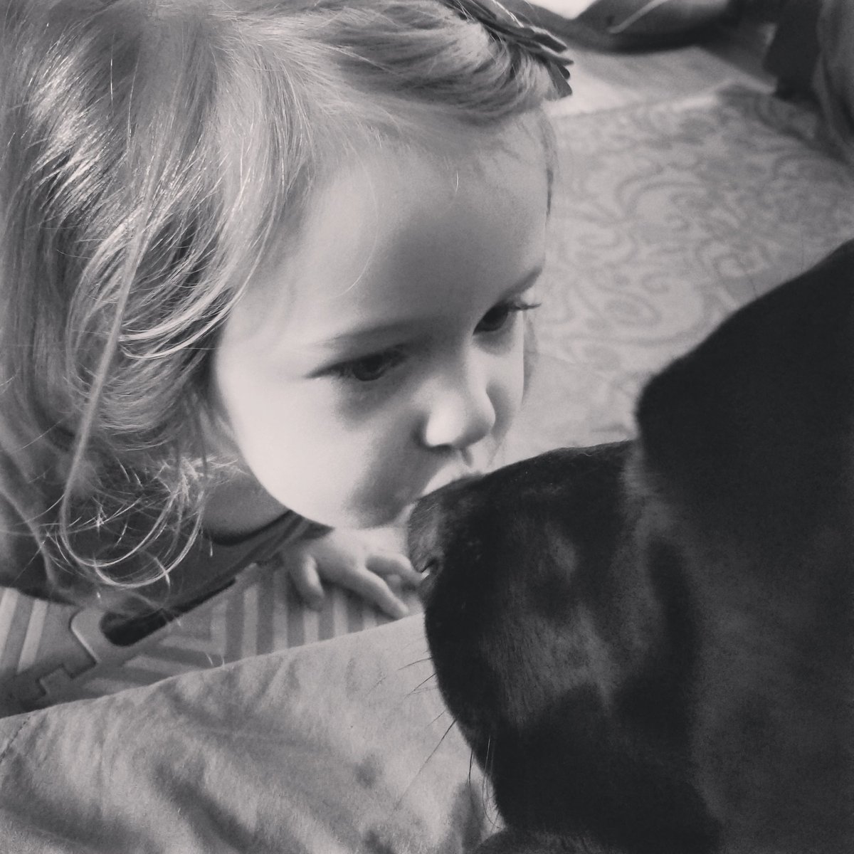 Aurora4117CAIU's tweet photo. I'm enjoying my birthday weekend with kisses from my little human, Alyssa. 👧💜🐶🐰🌷🎉🎈 #Auroraborealis #Rory #UDS #Servicedogintraining  #Happy1stBirthdaytome #April1stismybirthday #NYCSD #WeAreNorthern https://t.co/CufOepenVL