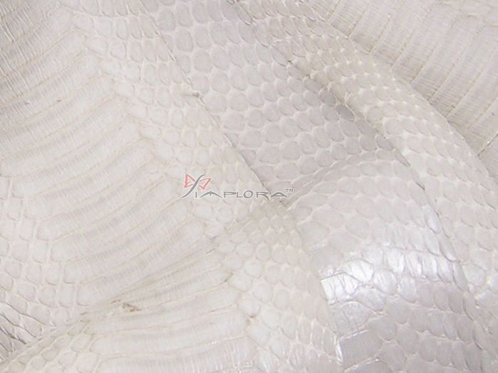 Implora Snakeskin tweet media