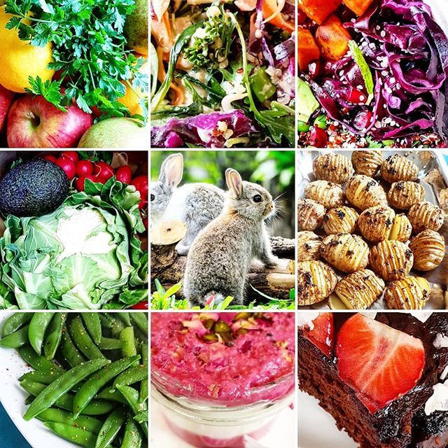 zazivegan's tweet photo. Happy Vegan Easter
Bunnies 🐇 and chicks 🐥are to live freely 
______________________________
#veganeaster #veganism #crueltyfree #happyeaster #foodshare #plantbased #transformationeveryday #hautecuisines #food4thought #healthyfood #poweredbyplants https://t.co/DV0tZskL4q https://t.co/giZTFvRPxk