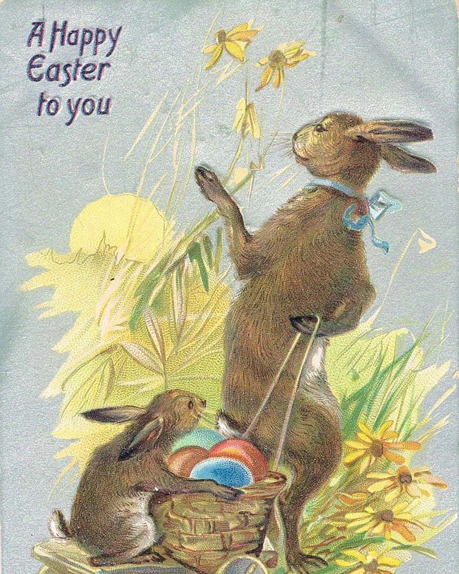 Whitlock S Book Barn Whitlockbooks Twitter