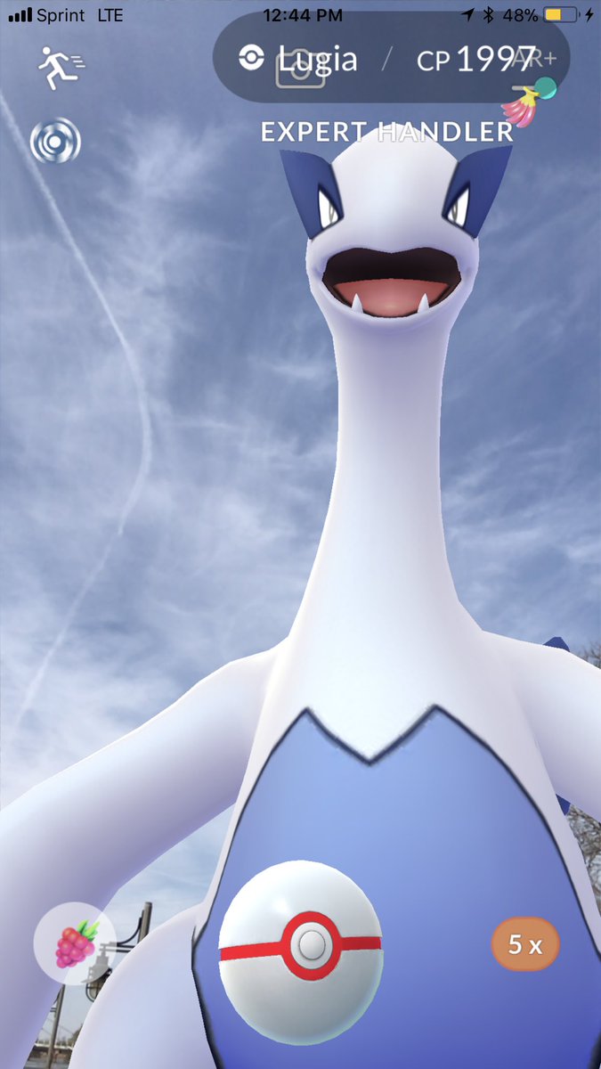sara_snacks's tweet image. #Lugia #ExpertHandler !!