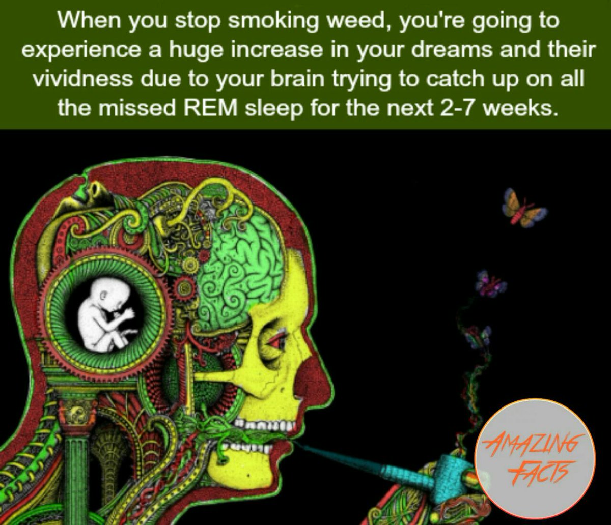 omarmangeli's tweet photo. #Kush #Marijuana #Weed #Cannabis #BlueberryDelight #Ganja #Spliff #MiraaTeam #GreenCrack #Meru #GainWithXtianDela #TrapaDrive #GainWithPyeWaw #GainWithTrevor #GainWithJnShine #GainWithLordMutai https://t.co/vqIoZZBLwt