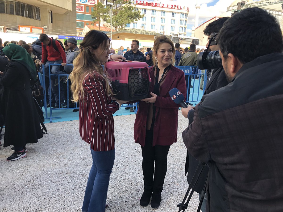 irem bayram در توییتر van in marka