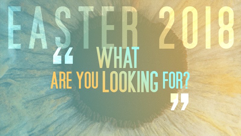 faccalgary's tweet photo. What if there's more to find than hidden chocolate? Join us in person or on Facebook Live for #easteratfac - Sat. 6:30 pm / Sun. 9:15 & 11:15 am. https://t.co/vfeXYssGFx #faconline #yyc #easteryyc #yyceaster #happyeaster #easter https://t.co/qYtVFov8Bb