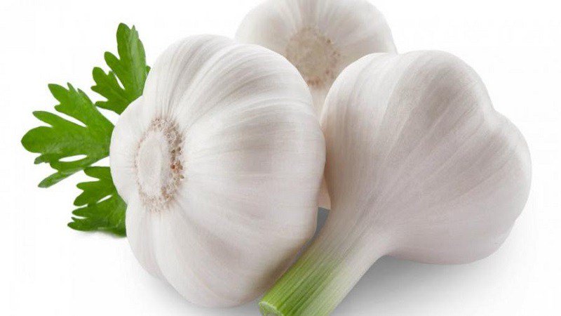 semen and sexual energy garlic healthbanktips.com/semen-sexual-e…