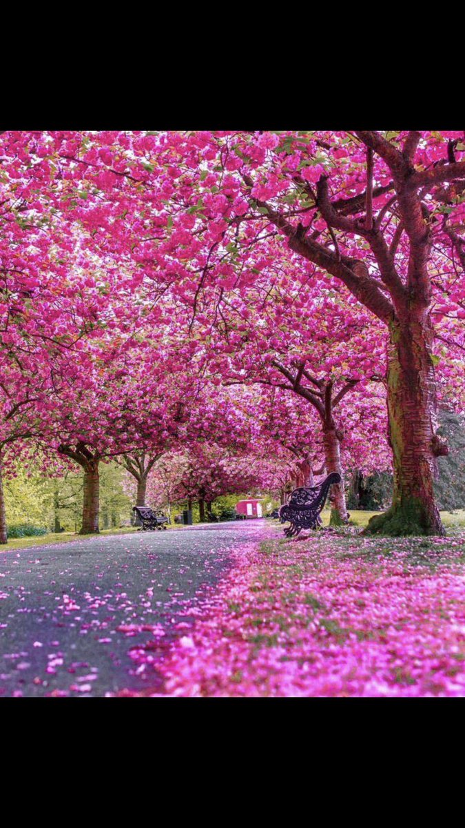 SheriffHotel's tweet photo. Beautiful #easterweekend here in #london 🤗💕#springhassprung #easter2018 #easterlondon https://t.co/GgjcQschzV