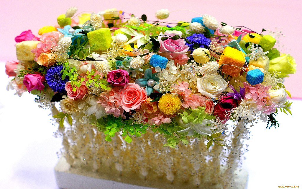 ��������, �������� � ���� �������� ����� ��������� �������