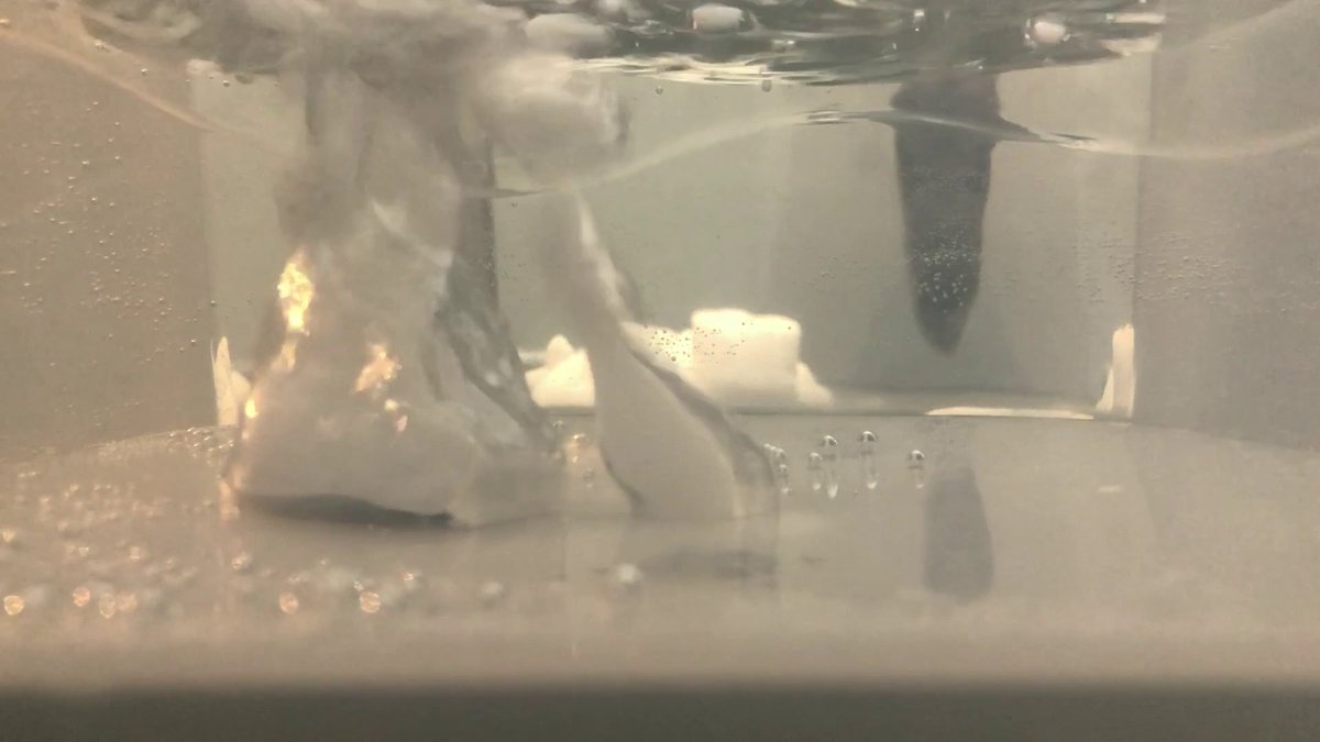 SounDoer's tweet photo. Recorded clean bubbles sound when putting dry ice into water. https://t.co/zmN5WShK3f https://t.co/QO4MRNluQr