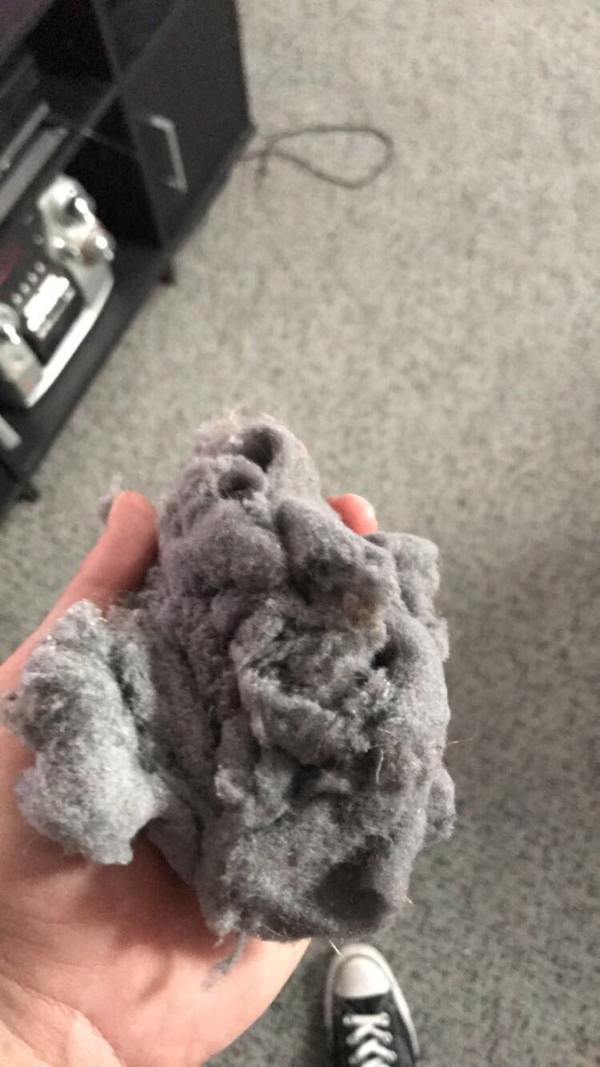 MuppetFart's tweet photo. It'd been a while since I cleaned out my belly button #bellybuttonlint https://t.co/Wln4hVXjs2
