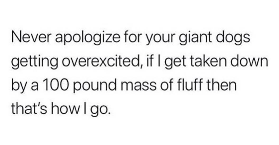 . (@tweetllkeaguy) on Twitter photo 