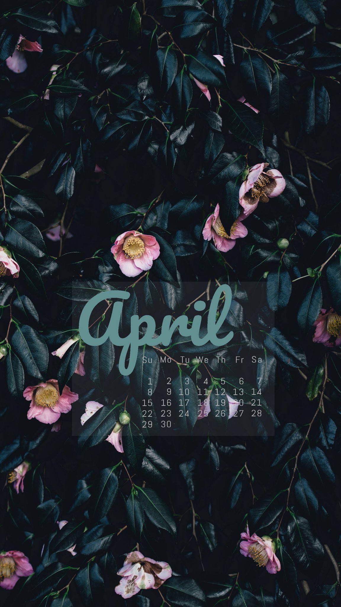 Zedge Get Your Phone Ready For April With A Calendar Wallpaper Or Lockscreen Made By Zedge See On Zedge Premium April Calendar Flowers Bushes Spring Springtime Dates Days Markyourcalendars Digitalart