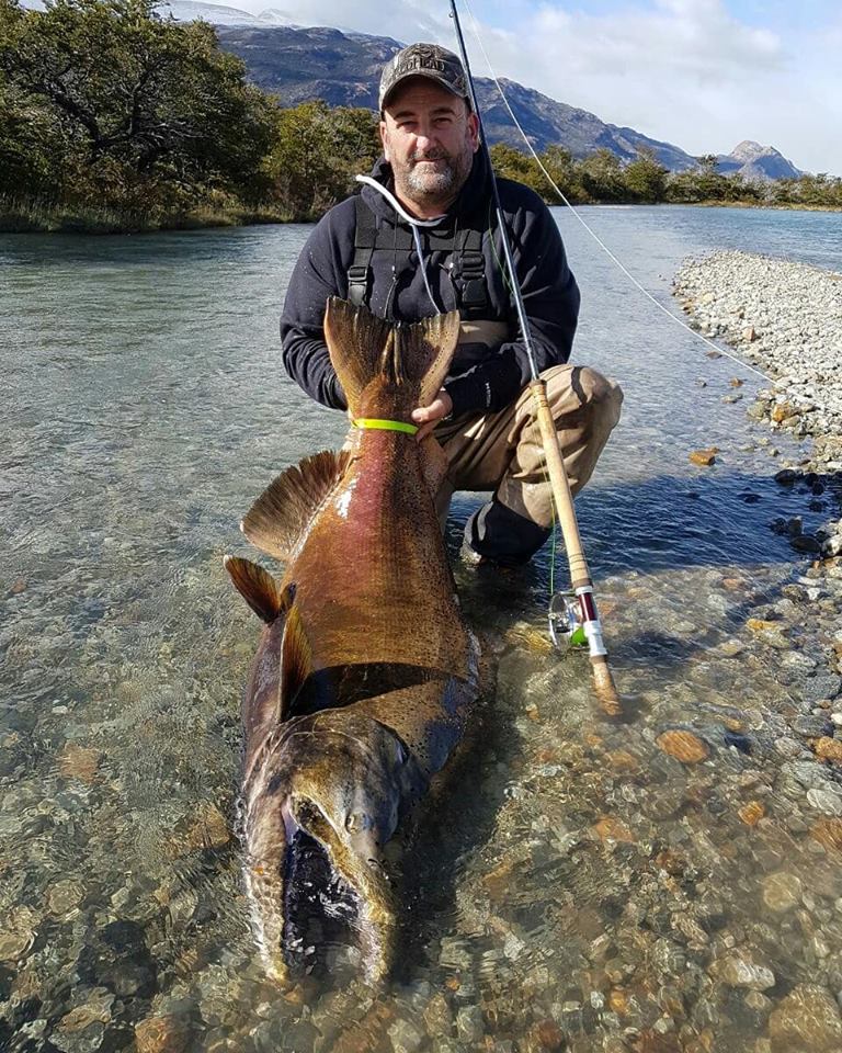 Holy cow! That's 90 lbs king salmon,  Pleased RETWEET &amp; FOLLOW us.
  #fishing #weekend #spring #fishingtime #hunting #fishinglife #SalmonRun #TroutSeason #trout