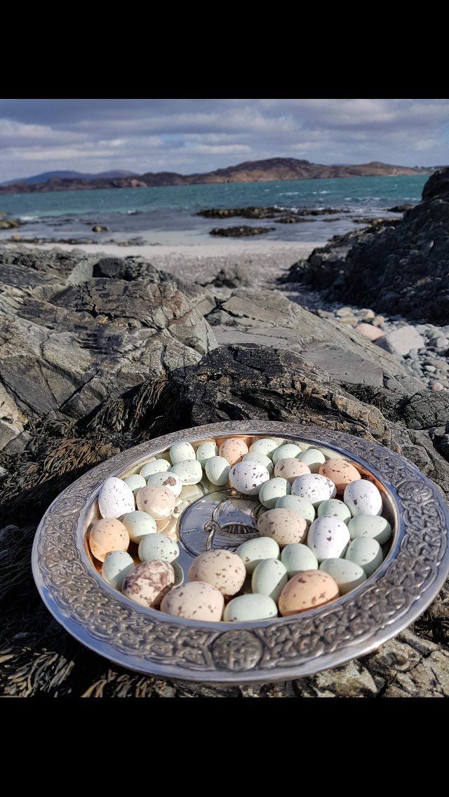 Happy Easter to everyone