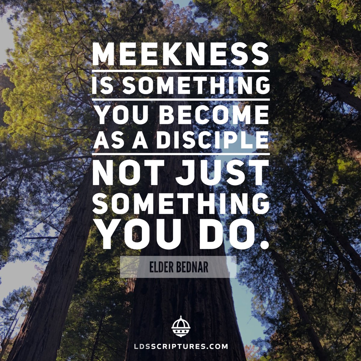 ldsscriptures's tweet image. Meekness is something you become as a disciple, not just something you do. -Elder Bednar