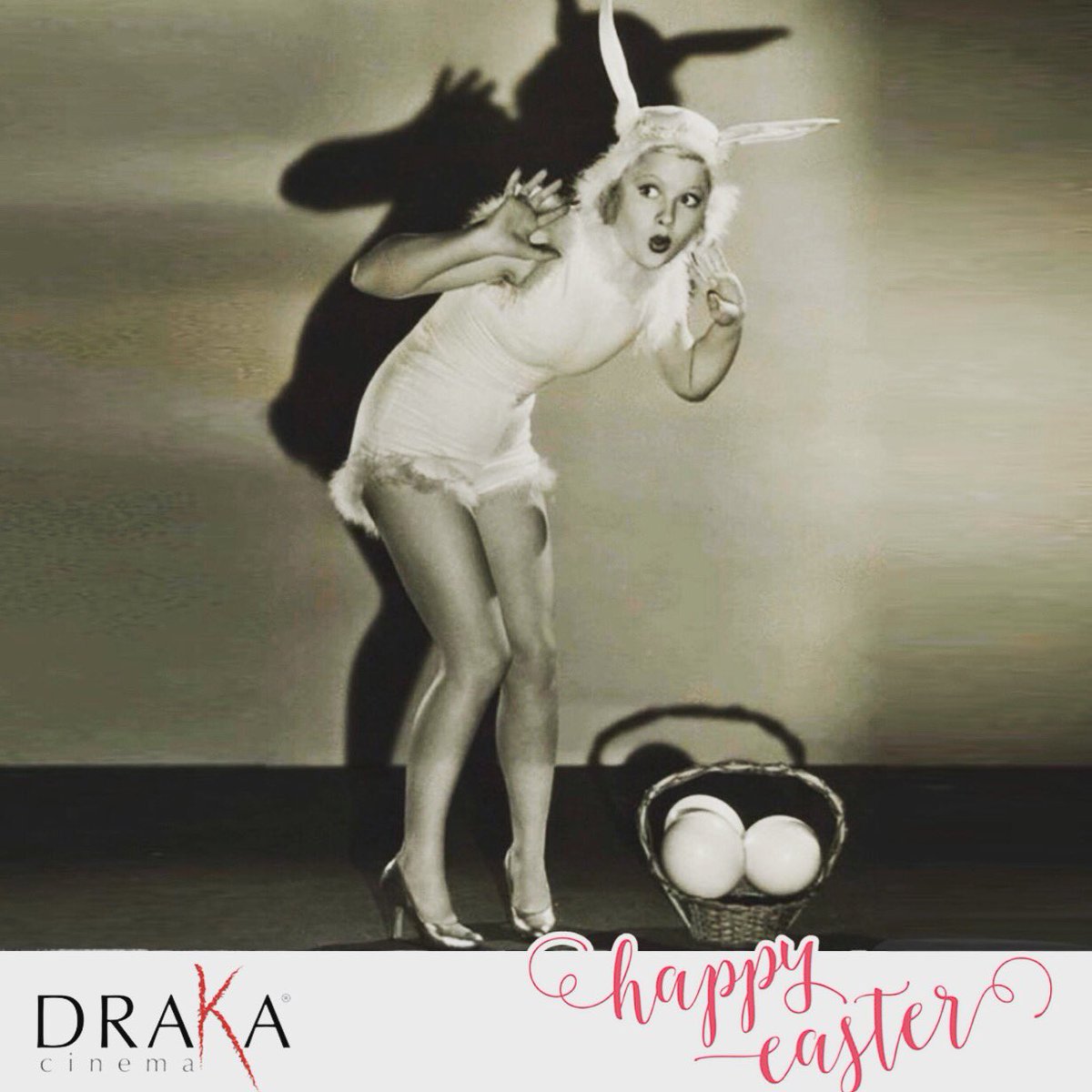 DrakaCine's tweet photo. Cerchiamo di sorprendervi con i nostri film e la meraviglia del cinema :) Auguri da @DrakaCine 🐥 https://t.co/MtZ9X6qPO1