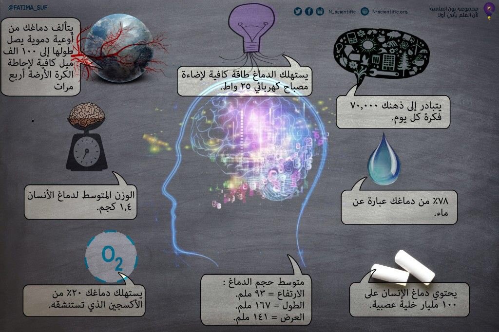 معلومات كيميائية 🌡 tweet media