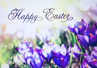 SignLightsLED's tweet image. From our SignlightsLED family to yours... We wish you a very Happy Easter!  #Signlightsled#HappyEaster