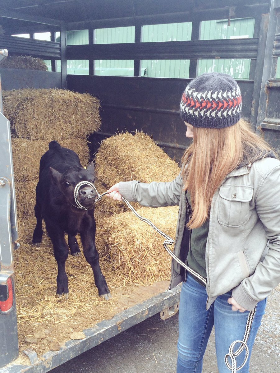 BronieG's tweet photo. Thank you Napanee for your great support of the #4H #fundraiser today!! What a great turn out and thanks 4H'ers for proudly displaying your animals! https://t.co/tEdj6cXXLG