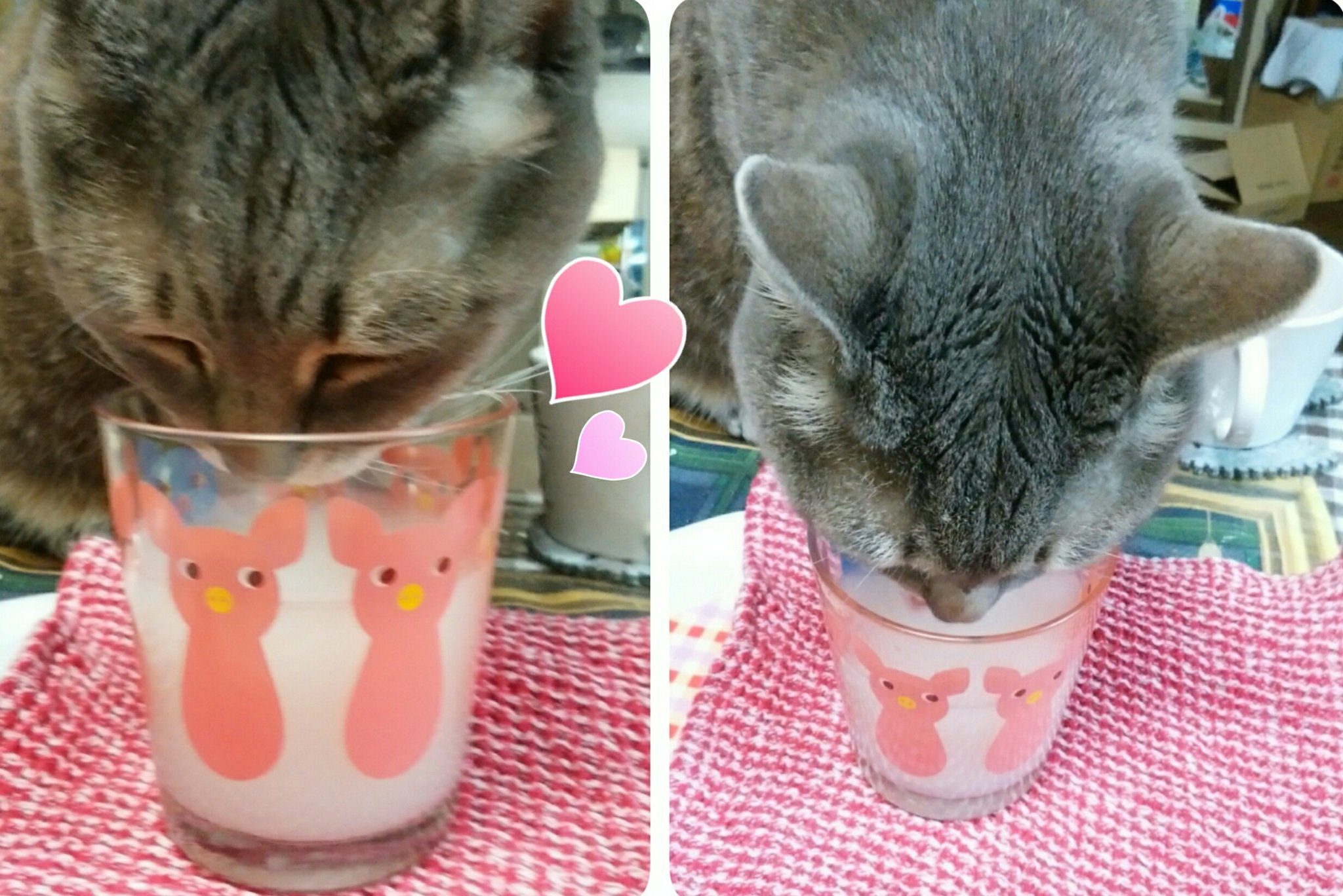 お米のとぎ汁 - Twitter Search / Twitter