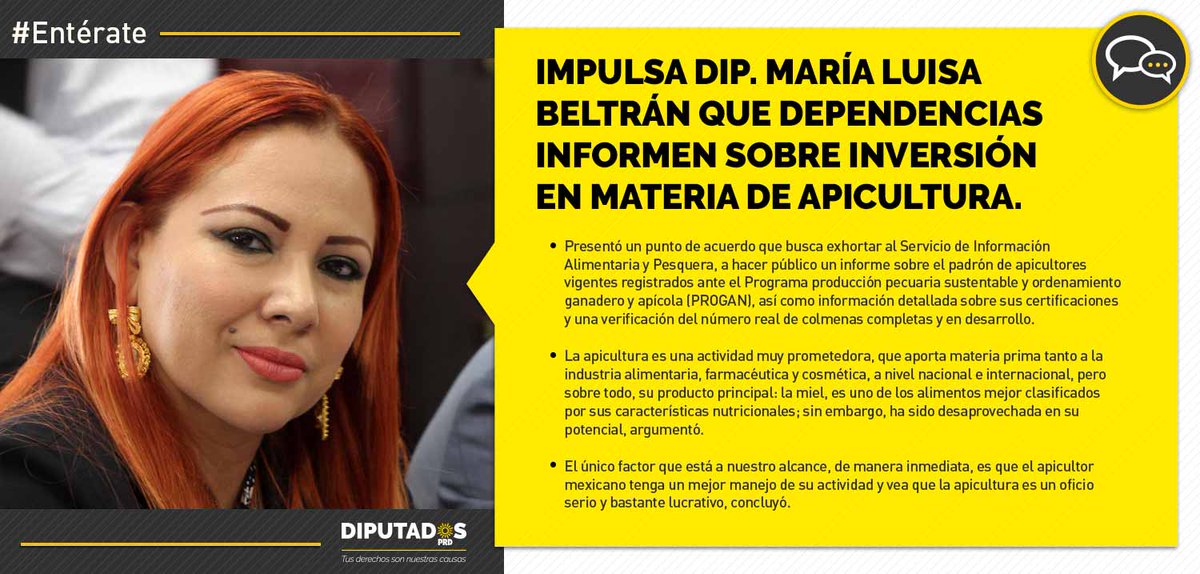 GPPRDmx's tweet photo. #Entérate "Necesario fomentar la profesionalización de los apicultores". @Luissabeltran https://t.co/2WmU8Xhw4Y