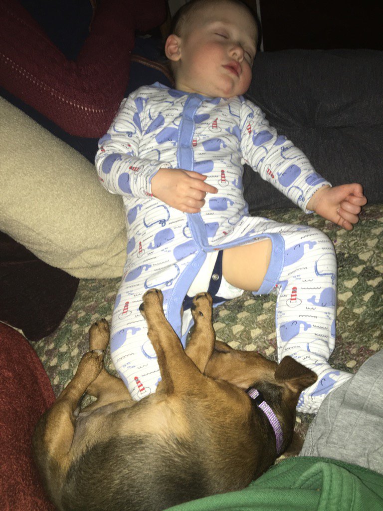 DougieCostello's tweet photo. Fight night ! #sleepnight https://t.co/upxRt1MZbn