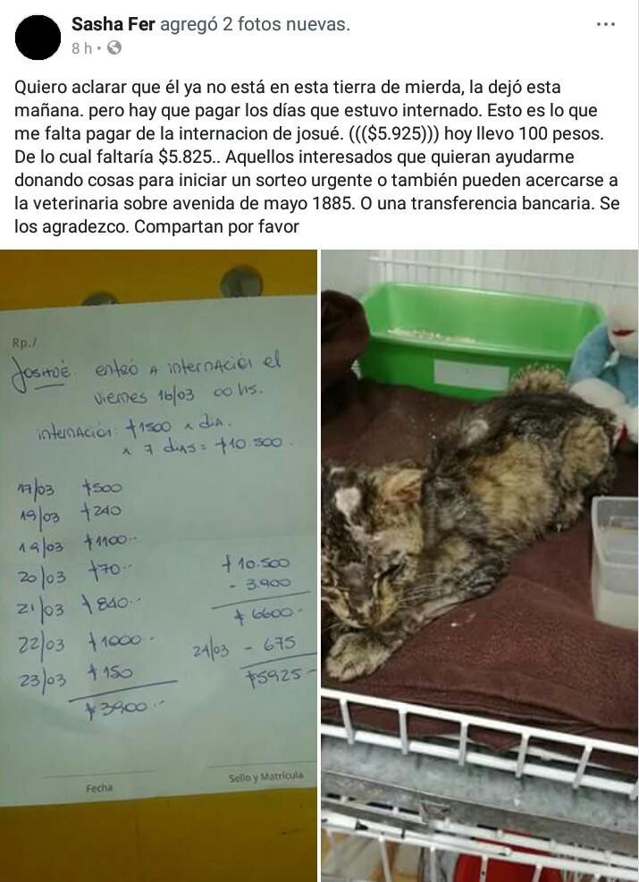 Necesitan juntar el dinero para saldar deuda veterinaria🚨 <a href="/Van_Saskia/">Vanne #plural #lacuestionsocial #RETROTOPÍA</a> @aide_tarrio <a href="/jimenadequilmes/">Jimena Torres ⭐️⭐️⭐️</a> <a href="/sanmarza64/">sandra marcela</a> <a href="/Soyeleowexler/">eleowexler</a> @florencia191077 @MaJimeminds <a href="/elianacouso/">Eliana Couso</a> <a href="/lavozdelosotros/">LAVOZDELOSOTROS</a> @animalesolos <a href="/Lalysole/">Laly 🇦🇷</a> <a href="/Maripiamorr/">Maria Paz 💪🏻🌱</a> <a href="/alenponti/">Ale Ponti</a> <a href="/IvaluTurnes/">Ivalú Turnes</a> <a href="/mcg1465/">MCG💛🇧🇷</a> <a href="/Ma_Alejandraok/">María Alejandra ⚪🔴⚪</a> 🚨👇