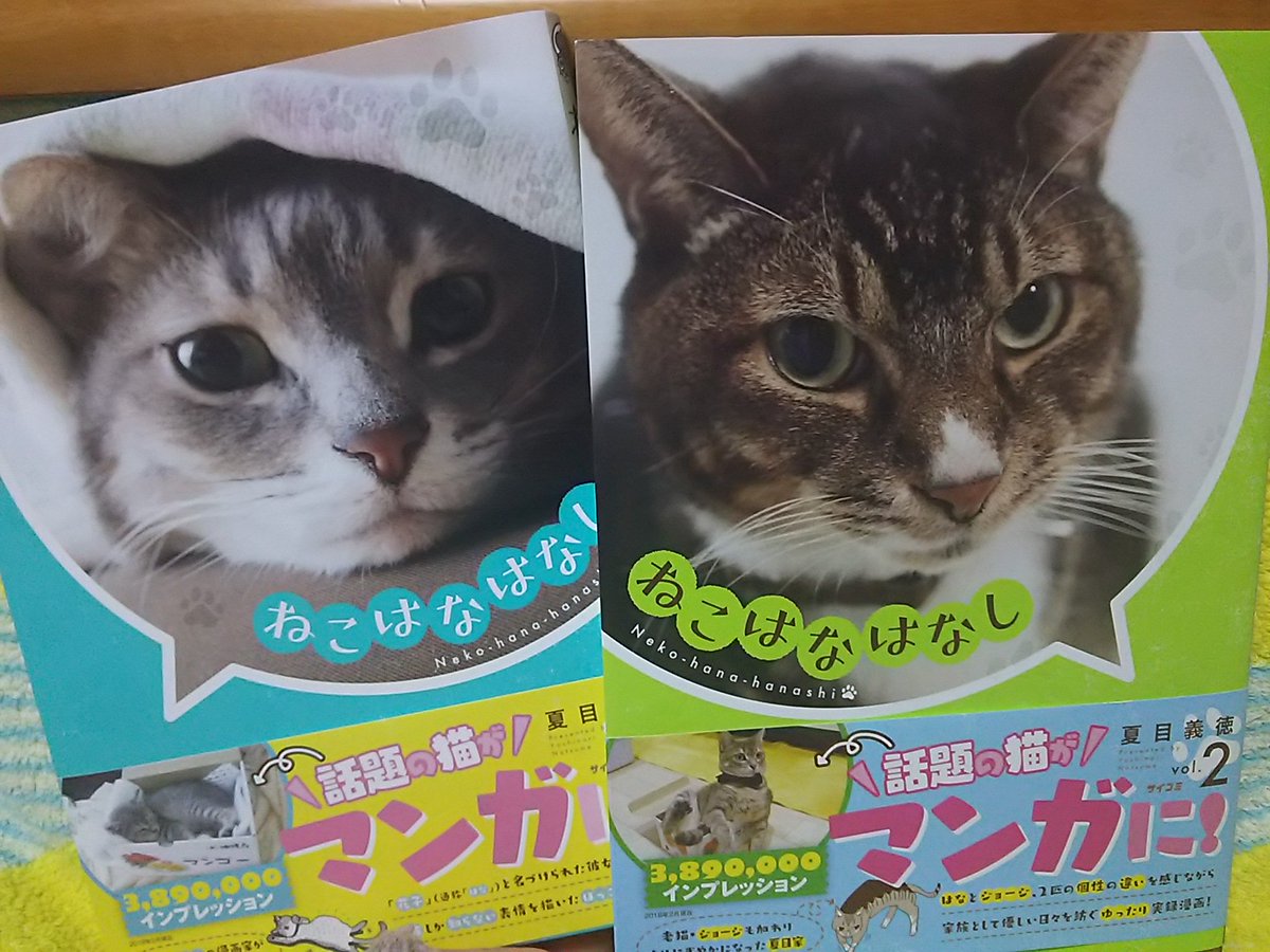 ねこはなはなし