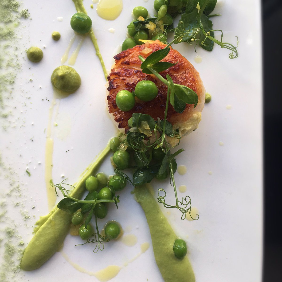 Hokkaido scallop and peas v2.0 #springvibes  #itsdinnertime