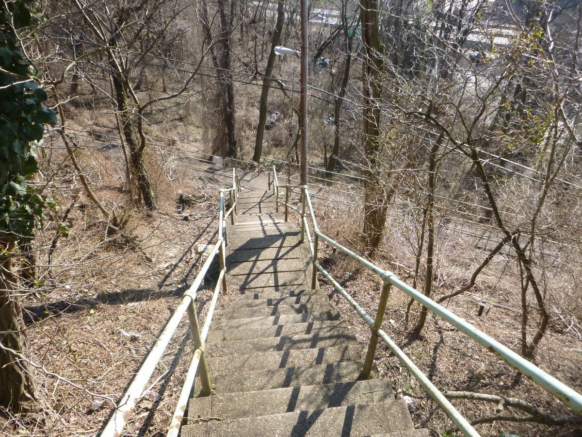 PittsburghTrail's tweet photo. #Pittsburgh Steps
Romeo St steps, South Oakland
#PublicSteps #PublicStairway https://t.co/SerinbLV0K