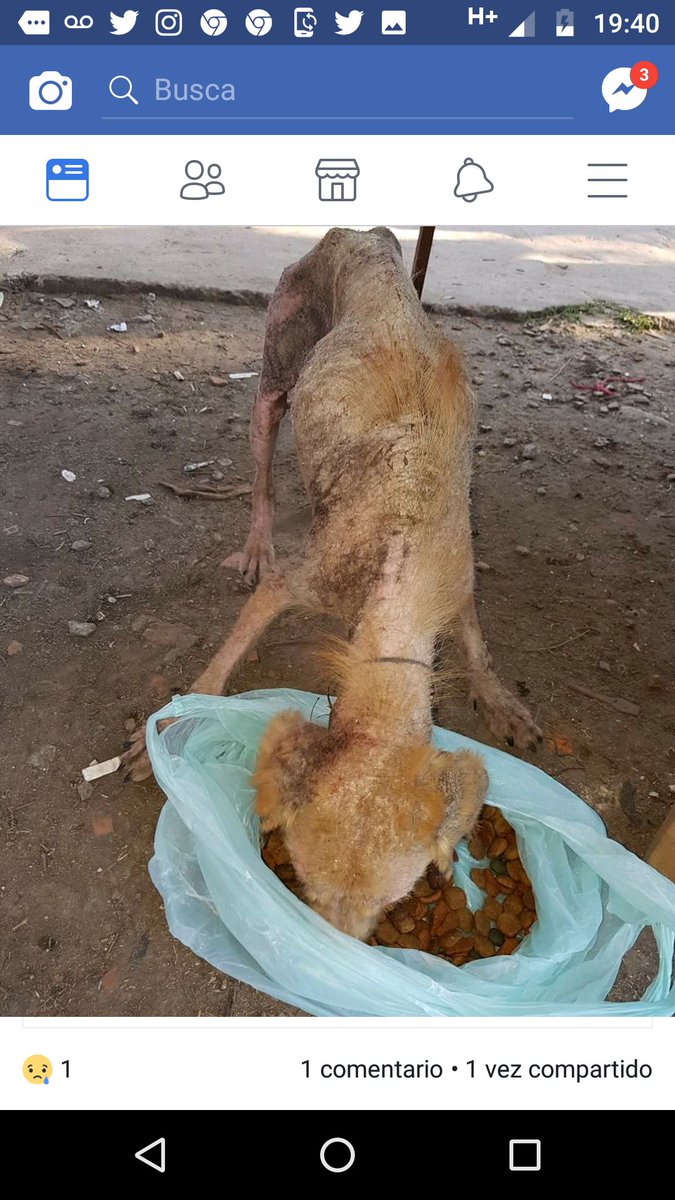 La indiferencia lo está matando en #gonzalezcatan ayuda por favor