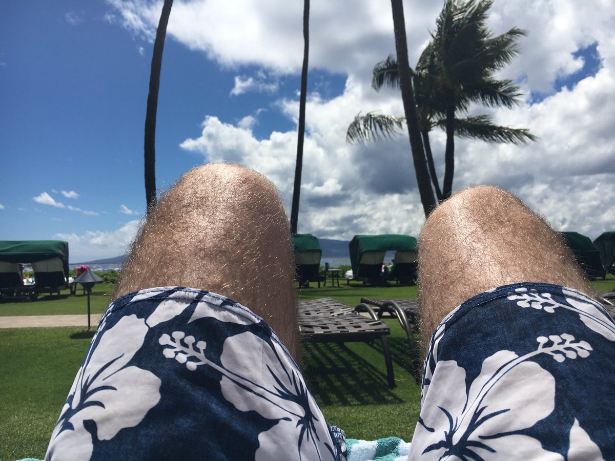 BillMooreROIC's tweet image. Went from laying on the beach in Maui to shoveling snow with no sleep in between.   Feels just wrong.  #MNspring