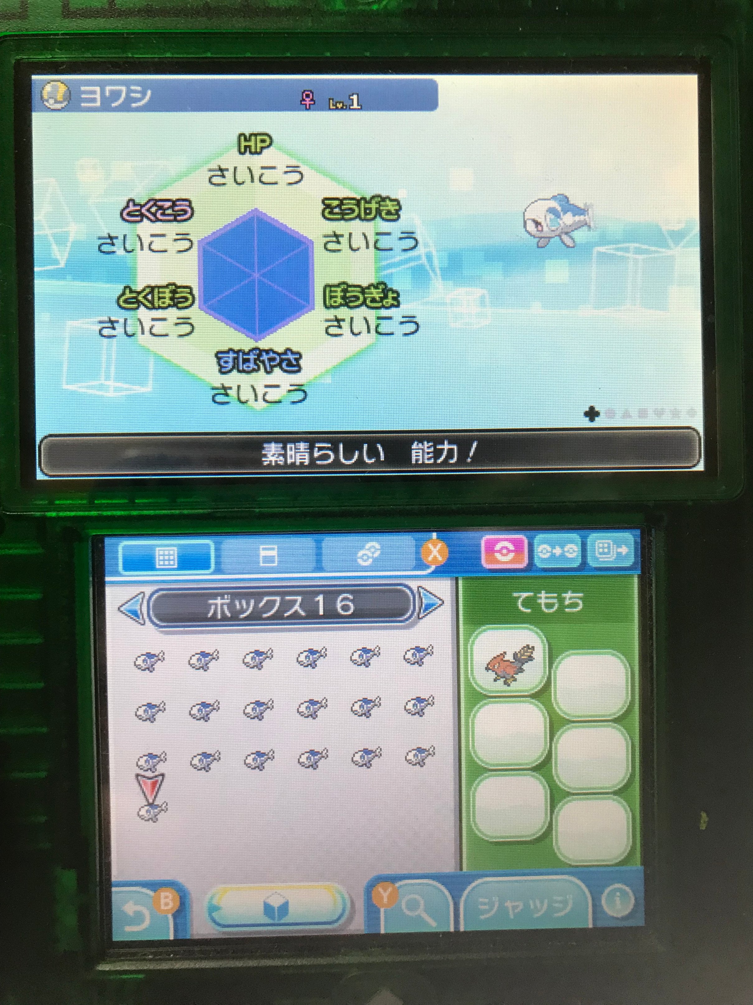 ポケモン6v記録 Twitter
