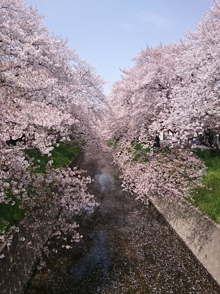 R指定♡Ｚ♡　音信不通キャンセル Loveit? / biz×ZERA feat LOLUET - YouTube