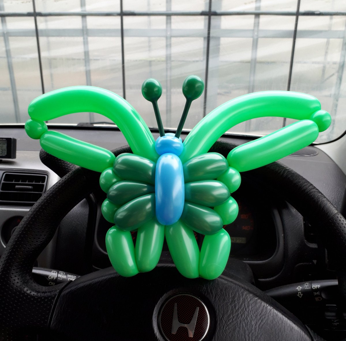 龍雅 Auf Twitter 今日のお昼バルーン ちょうちょ 色味が悪い バルーンアート Balloonart 蝶々