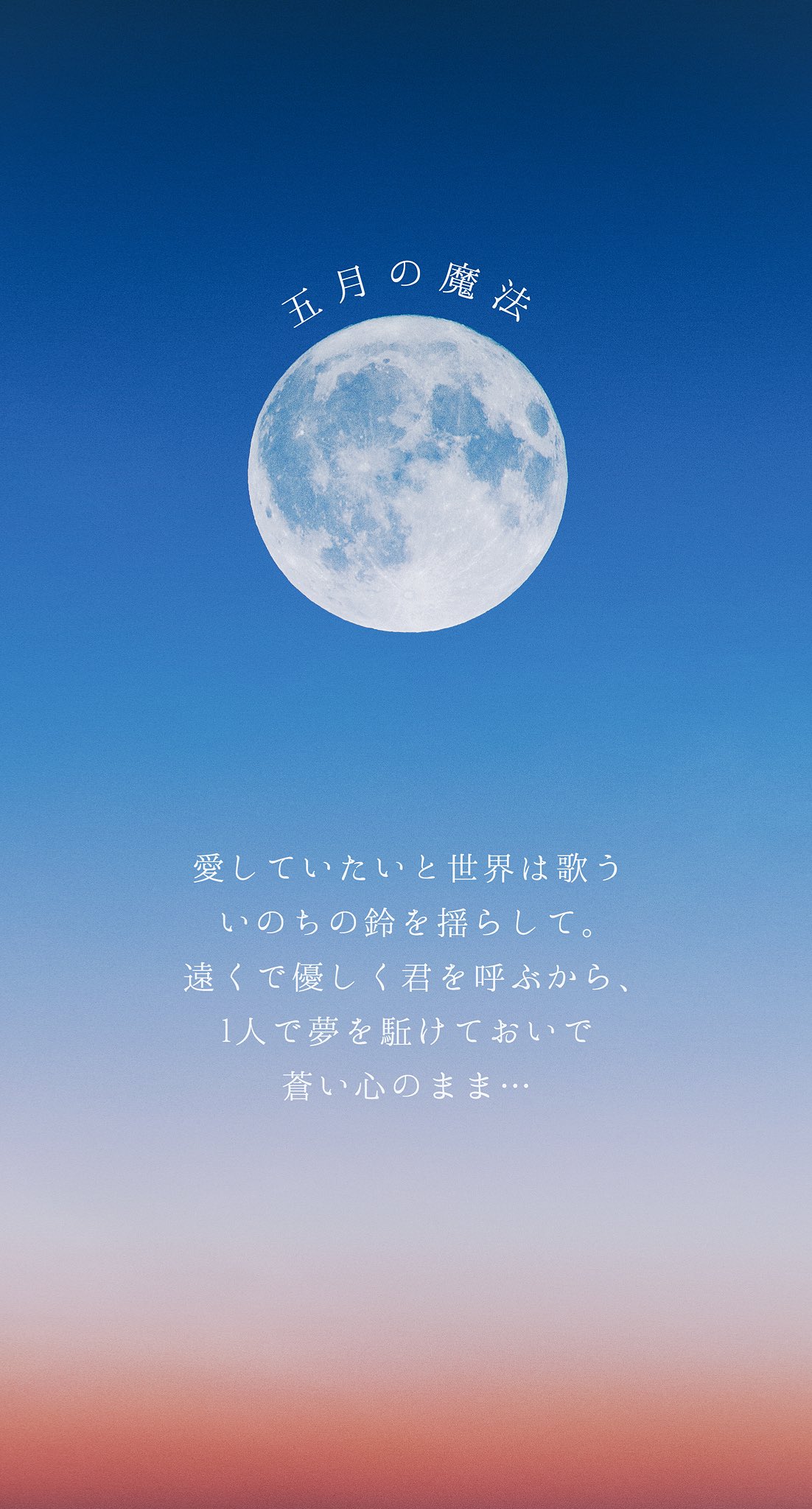 カジウラー書体見本部 Syotai Kaji Twitter