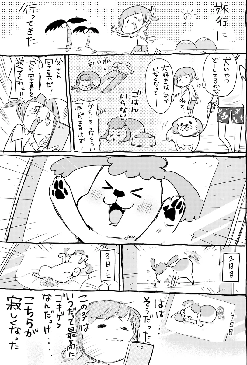 旅行に出かけて寂しがってると思ったら・・・ワンちゃんも猫ちゃんも全然変化なくて寂しい・・・